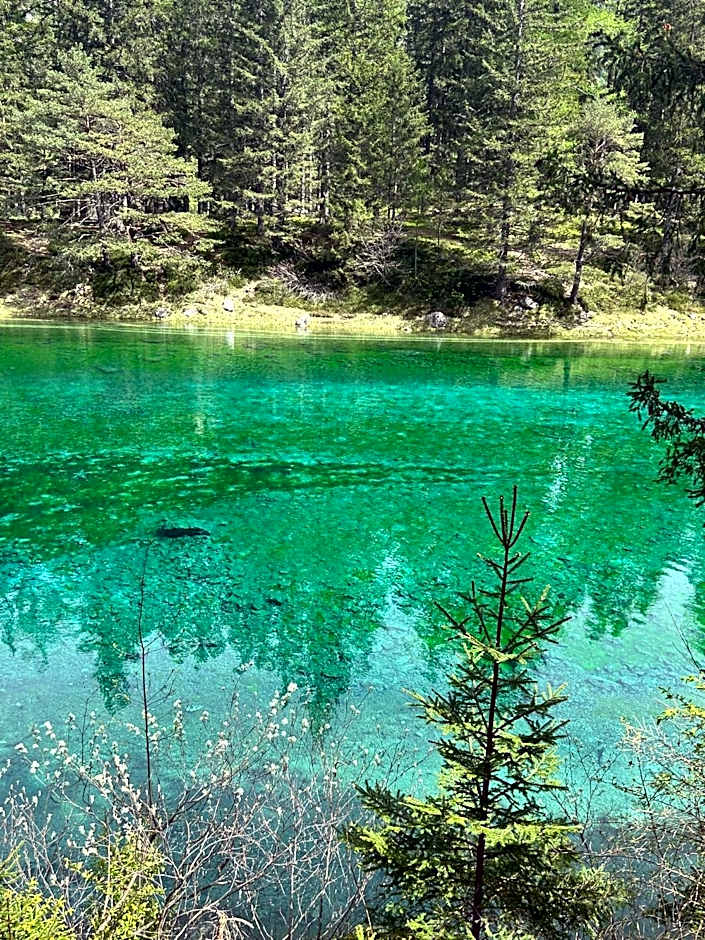 Haus Bergblick am Grünen See