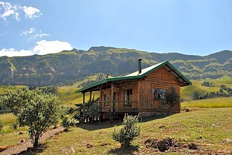 Family Room with Mountain View