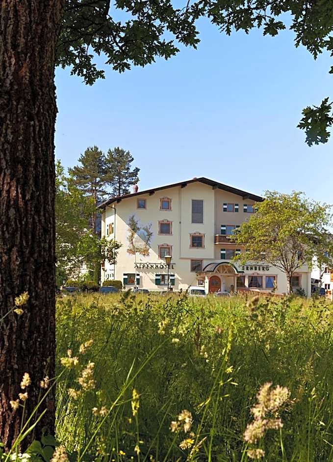 Alpenhotel Ernberg