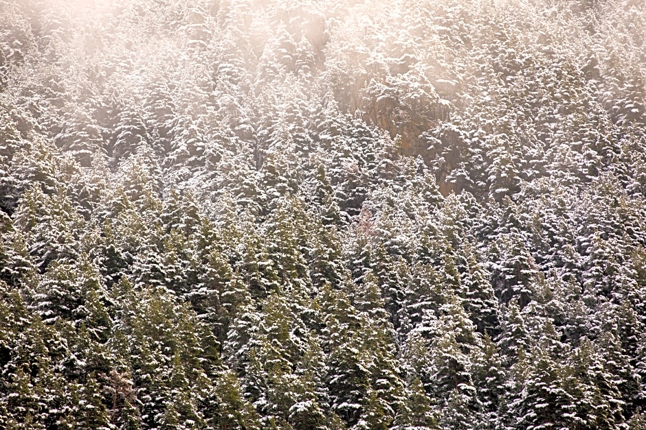 The Lodge at Ribasol