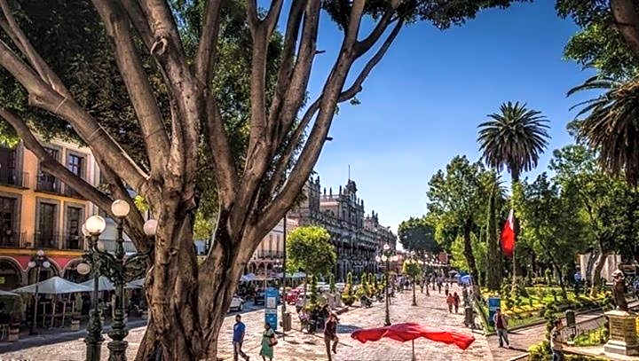 Metropolis Suites Ejecutivas