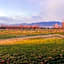 Azienda Agrituristica Ai Prai