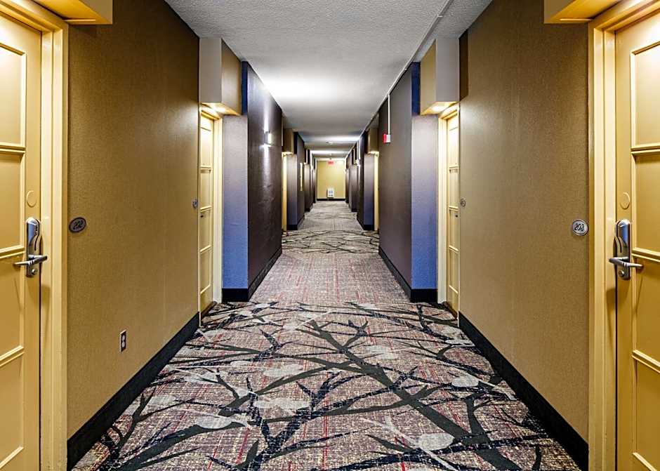 Auberge Royal Versailles