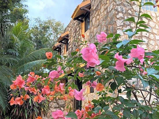 Villa Tortugas