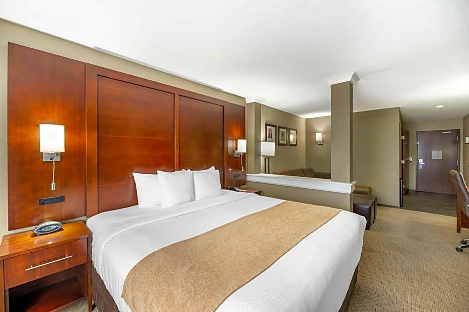 Comfort Suites Carlsbad