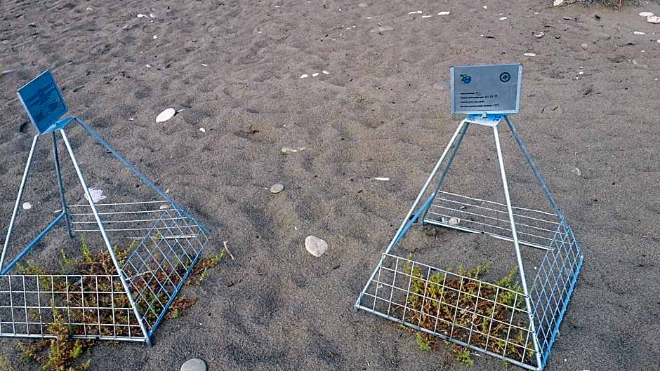 KUŞ YUVASI PANSiYON