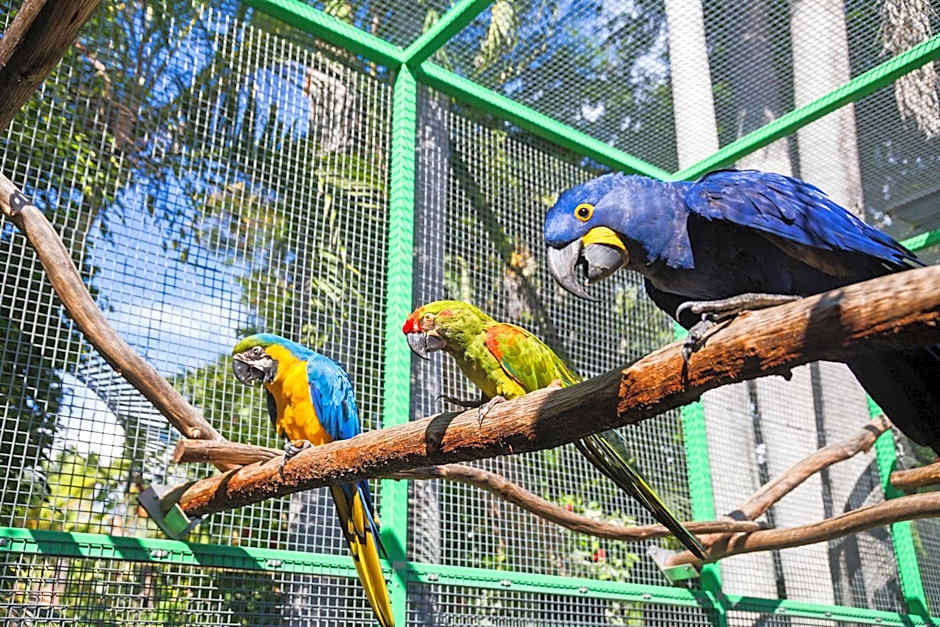 Ashmore Palms Holiday Village