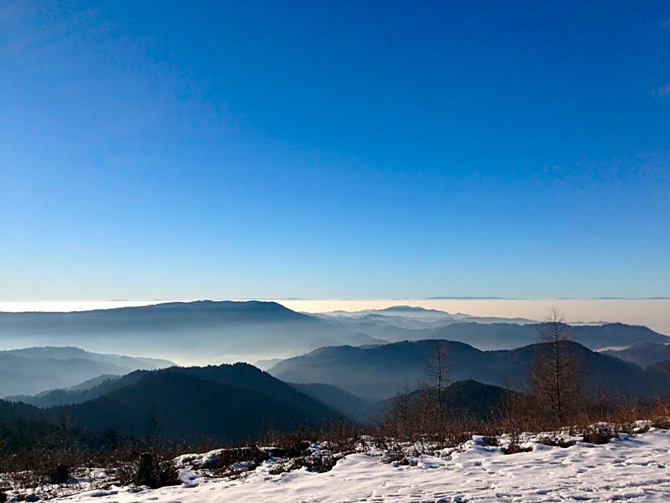 Pflugwirts Hotel und Gasthaus