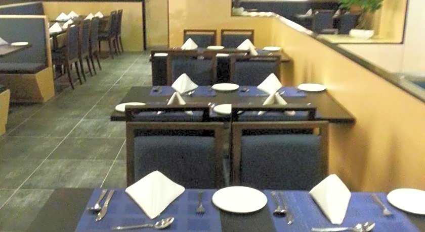 Hotel German Palace, Airport