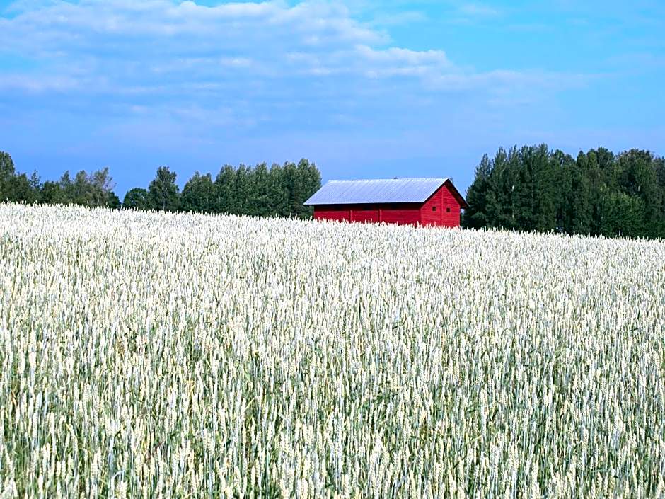 Wij Trädgårdskök på Wij Trädgårdar