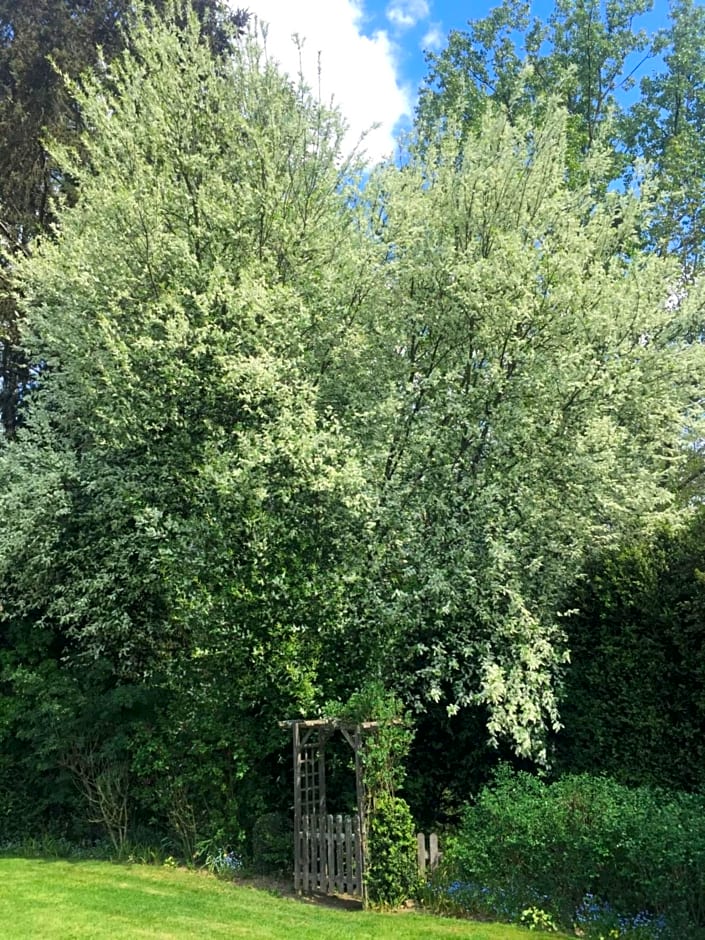 Chambres d'hôtes Le Bas Rassinoux