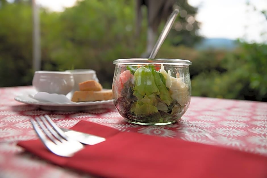 Genusshotel Hirschen - Erholung im Grünen (Südschwarzwald)