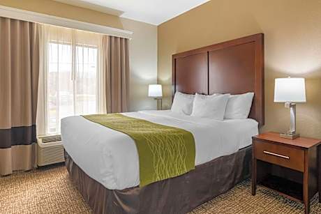 1 King Bed, Suite, Nonsmoking