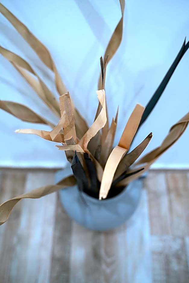 Naxos Enjoy Apartments