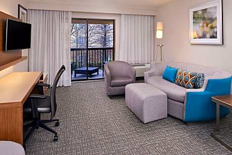 1 Bedroom 2 room Suite, 1 King, Sofa bed