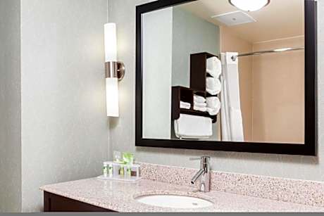 1 King Bed Standard Comm Access Tub