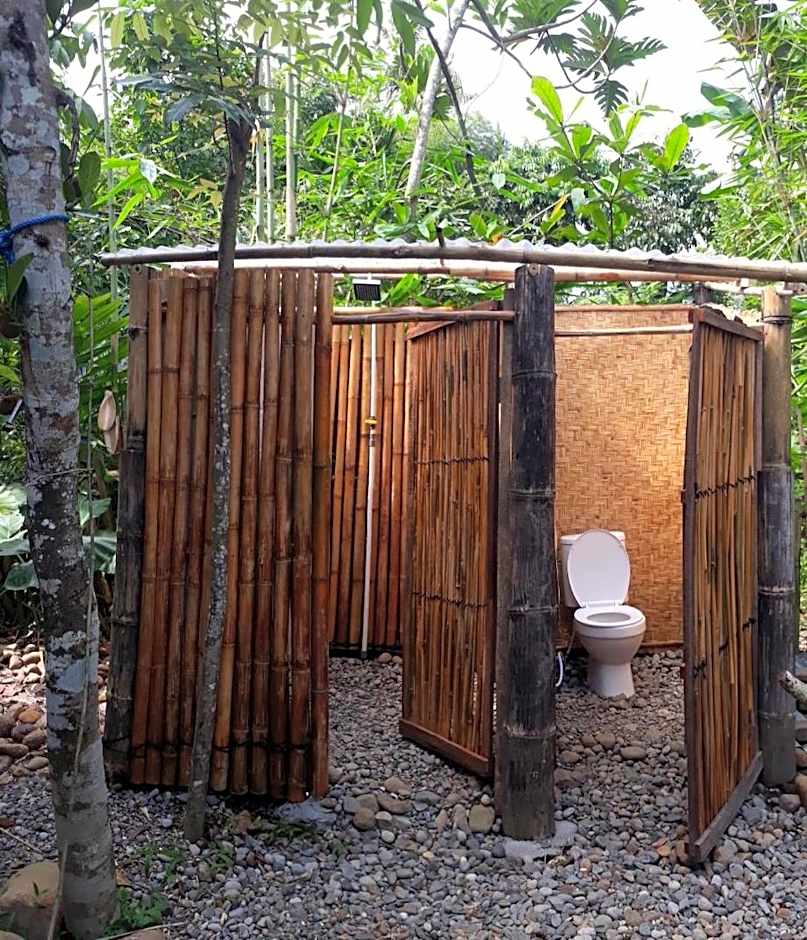 hijau