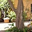 Arena Alfieri B&B