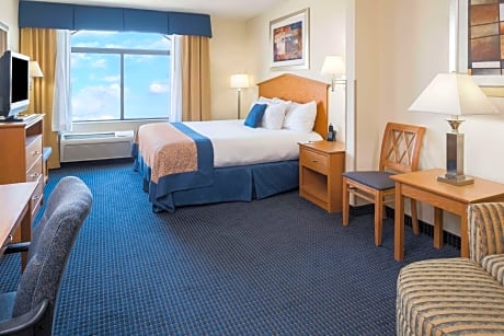 1 King Bed One-Bedroom Deluxe Suite Non-Smoking