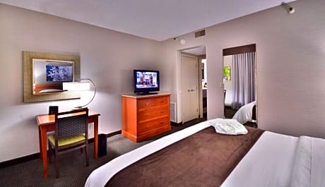 2 ROOM EXECUTIVE SUITE-1KING BED-NONSMOKING