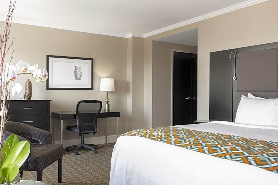 voco The Tiger Hotel, Columbia, MO By IHG