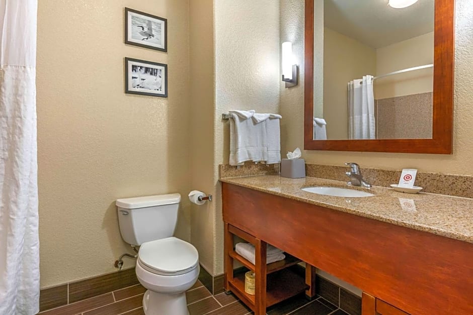 Comfort Inn and Suites Galt - Lodi North