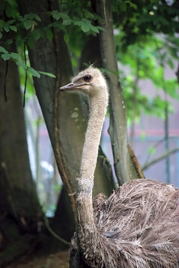 Polonezköy Country Club