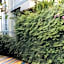 Dalat Boutique Hotel