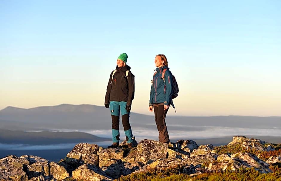 Vemdalsskalets Högfjällshotell & lägenheter