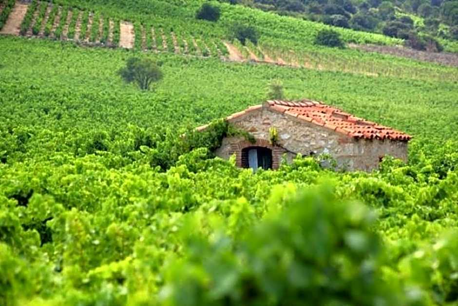 Chambres d'Hôtes et Gîtes- L'Abri sous Roche