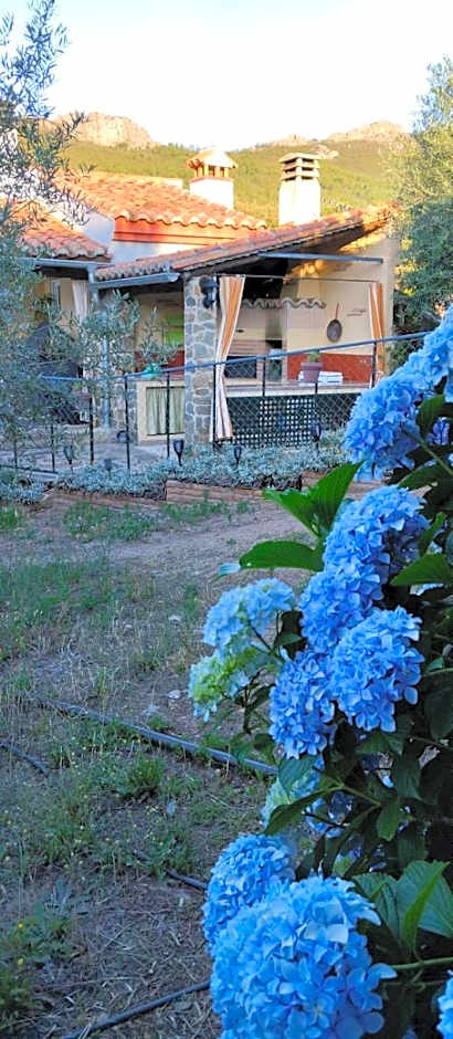 La Cabaña Romantica de Llano