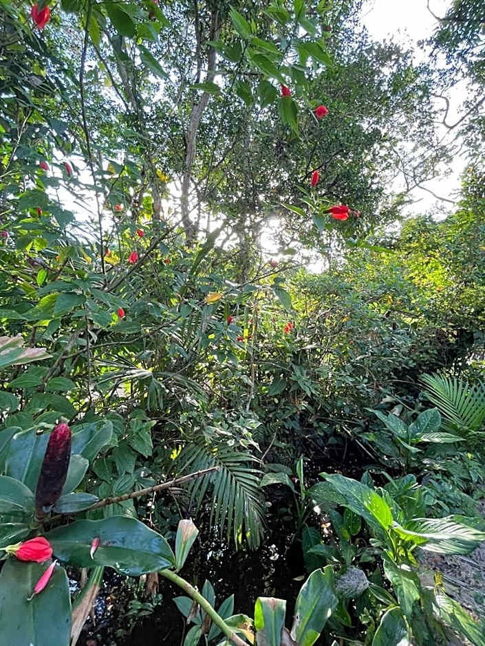 Camping e Pousada do Ade