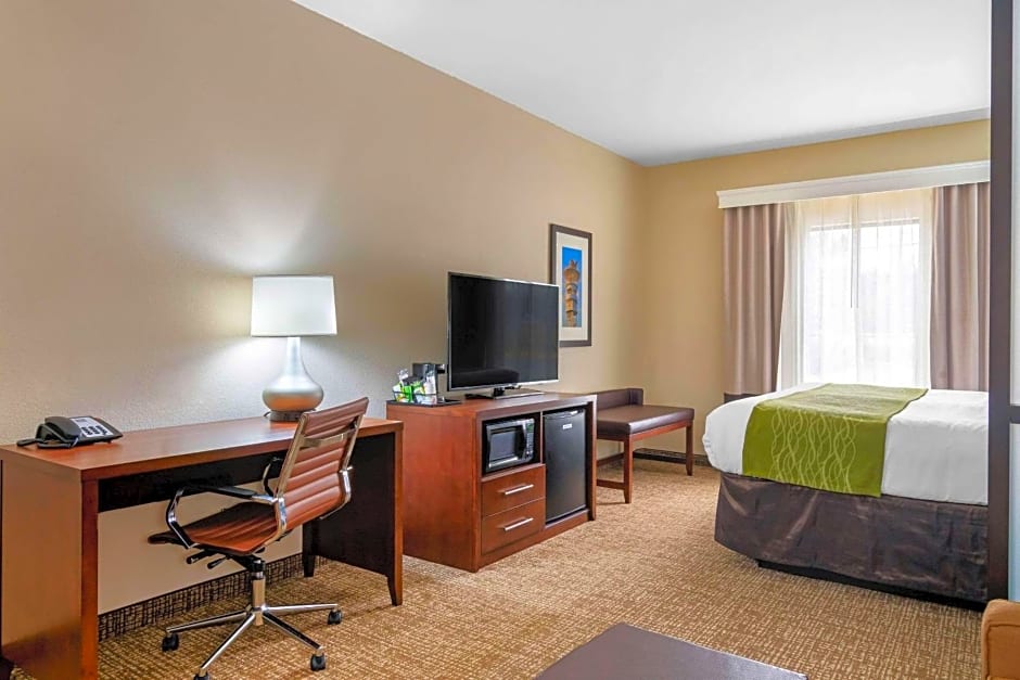 Comfort Inn & Suites Griffin