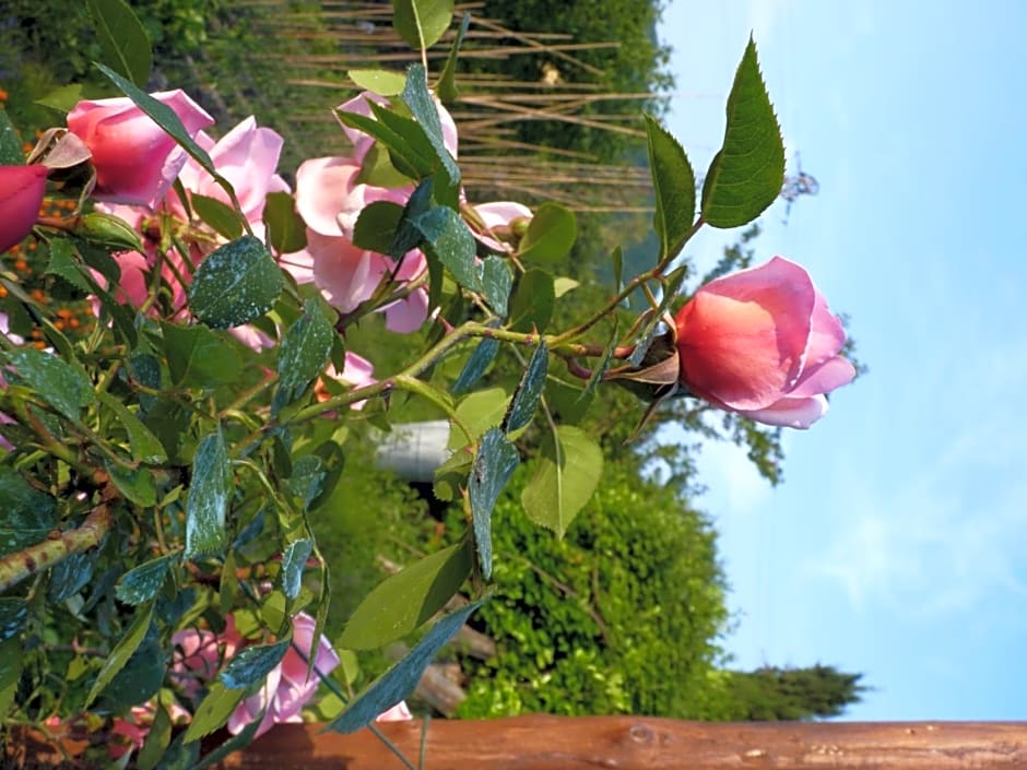 B&B The Roses Garden