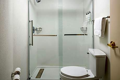 King Studio with Sofa Bed - Hearing Accessible