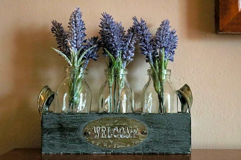 The Hollybush Inn and B&B