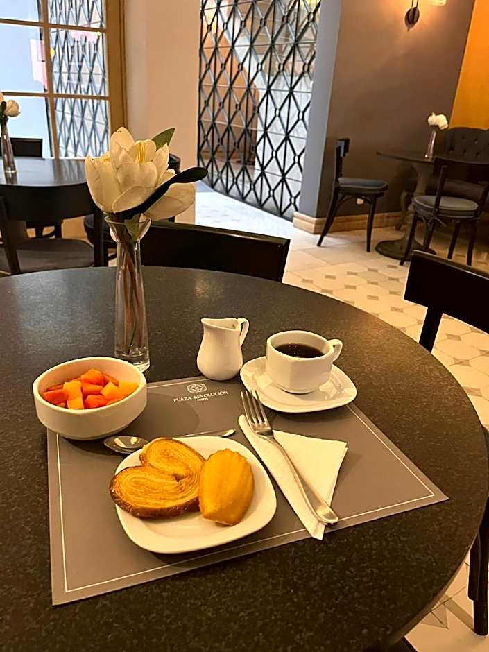 Hotel Plaza Revolucion