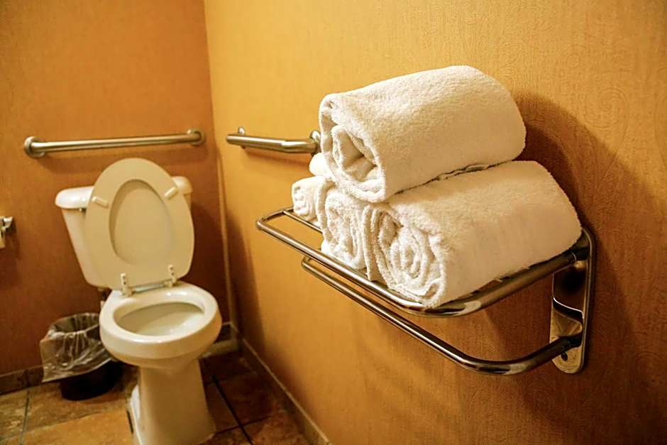 Hampton Inn By Hilton & Suites Mccomb