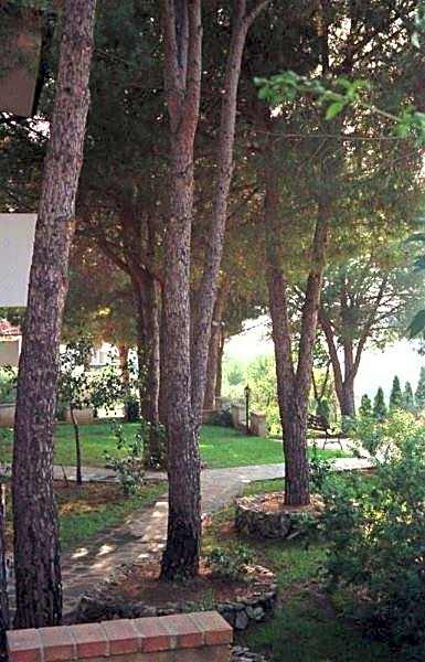 Villaggio Pineta Petto Bianco