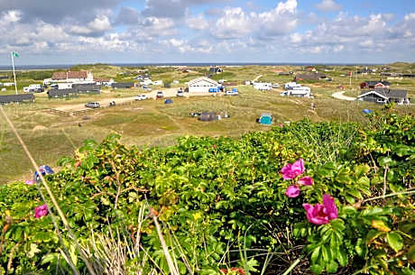 Dancamps Holmsland