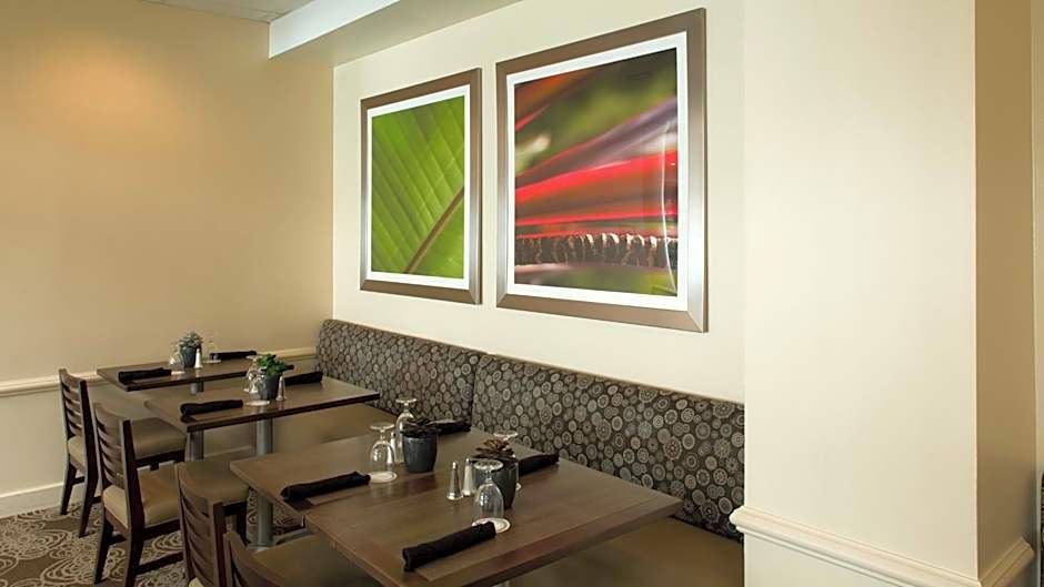 Holiday Inn Houston S - NRG Area - Med Ctr By IHG