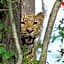 Dream of Africa Bush Lodge