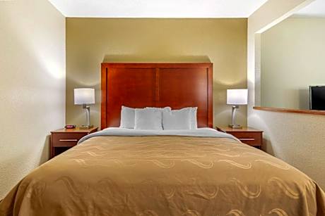 1 King Bed, Suite, Nonsmoking