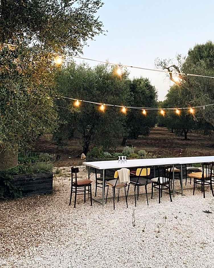 Fikus - the Apulian B&B