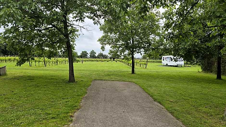 Camping Wijndomein Erve Wisselink