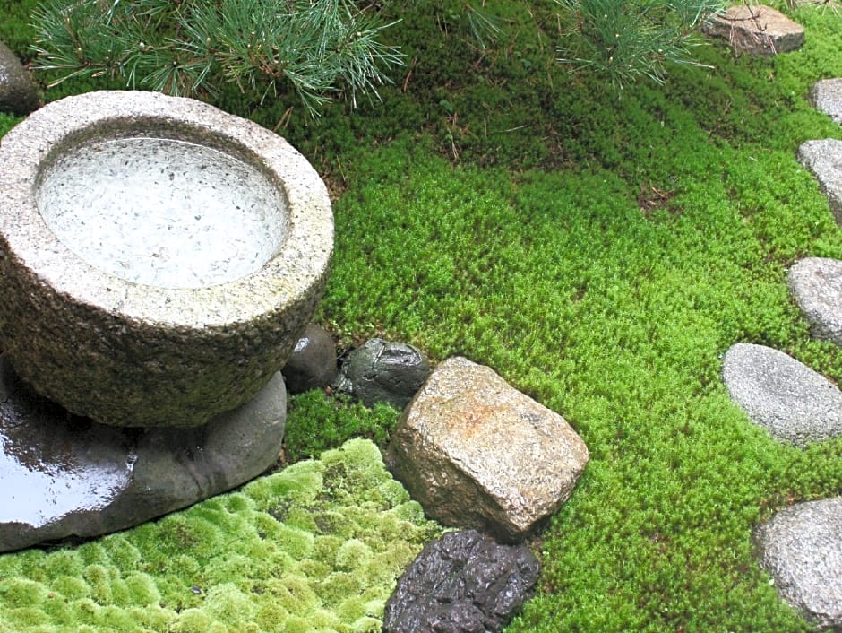 HARUYA Umekoji