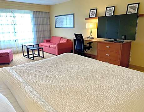 Room, 1 King Bed with Sofa bed (Mobility/Hearing Accessible, Tub) (1 King Bed and 1 Double Sofa Bed)