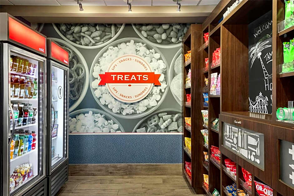 Hampton Inn - Suites by Hilton Tampa Busch Gardens Area