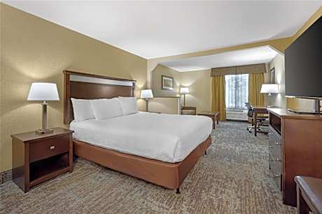 King Suite with Sofa Bed and Jetted Tub - Non-Smoking