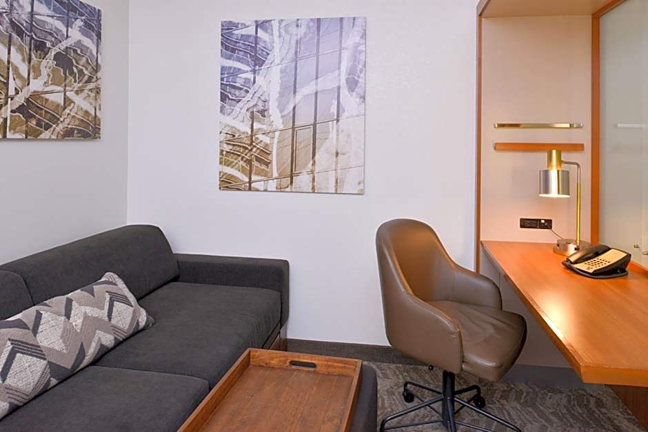 SpringHill Suites by Marriott Durham Chapel Hill